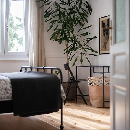 Val Maistro Apartment 扎达尔 外观 照片